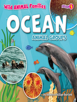cover image of Ocean Animal Groups